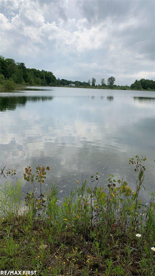 0 Connell Road Yale, MI 48097 - Photo 20 of 22