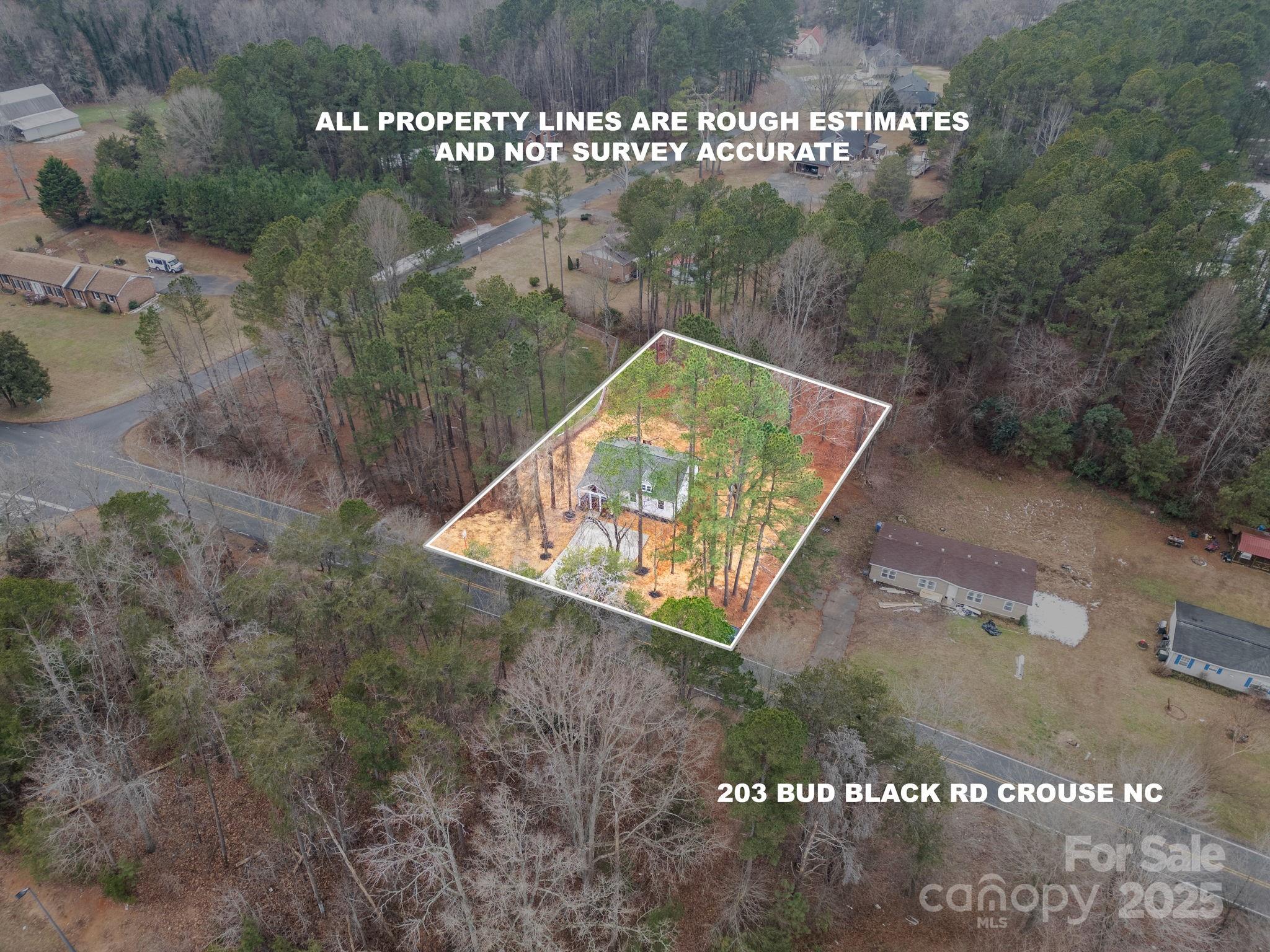 203 Bud Black Road Crouse, NC 28033 - Photo 4 of 47 a view of a small yard