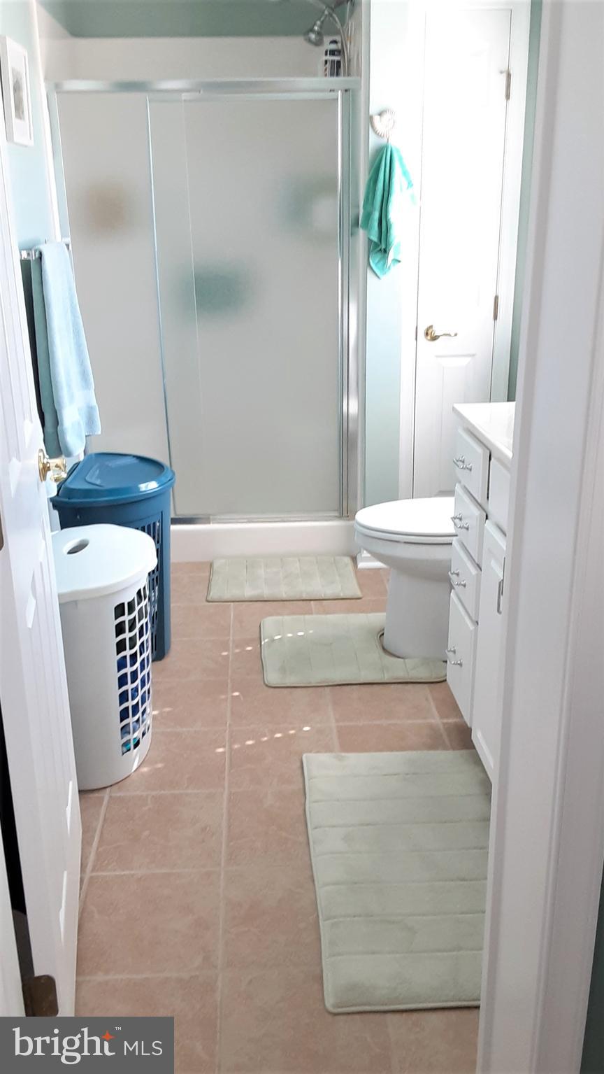 192 Pine Tree Road Ocean City, MD 21842 - Photo 39 of 66 Master bath