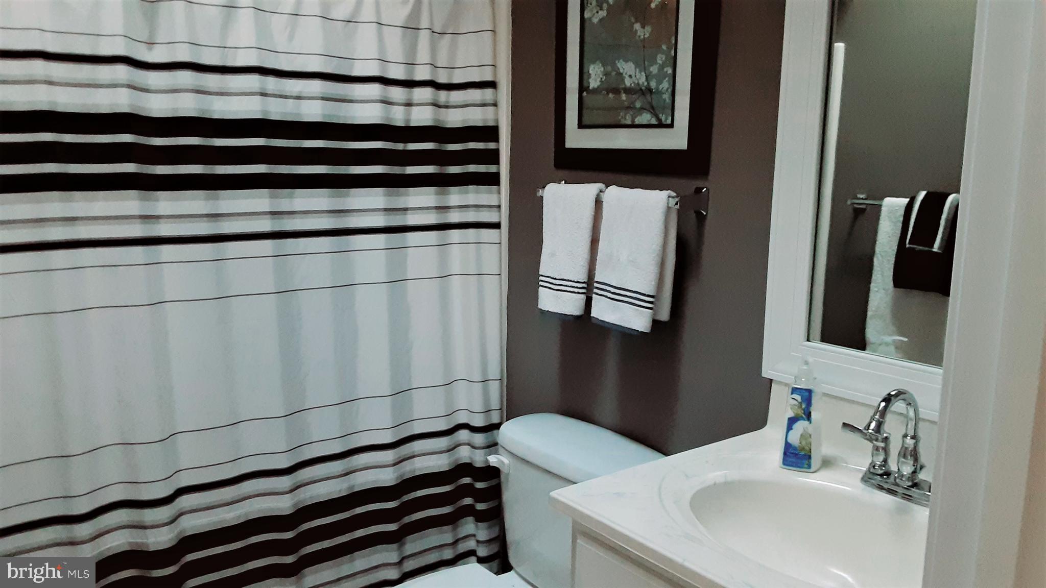 192 Pine Tree Road Ocean City, MD 21842 - Photo 50 of 66 Guest bath