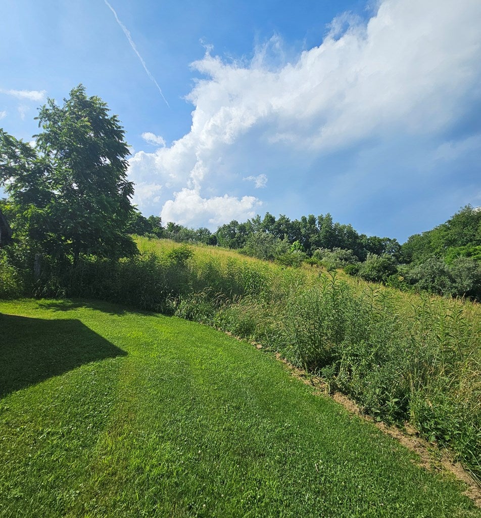 847 Dogwood Road Tazewell, VA 24651 - Photo 5 of 29 Gallery Image 5