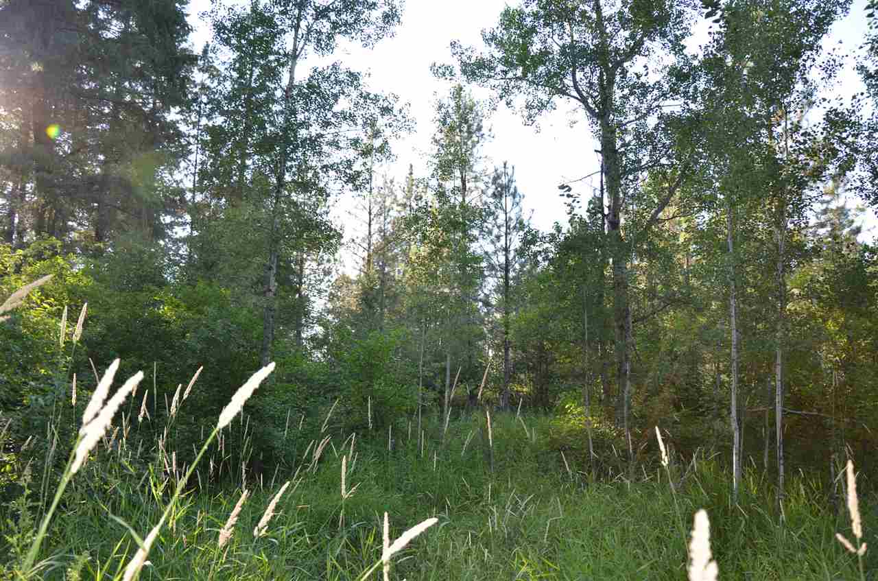586 State Rte 20 Colville, WA 99114 - Photo 14 of 15