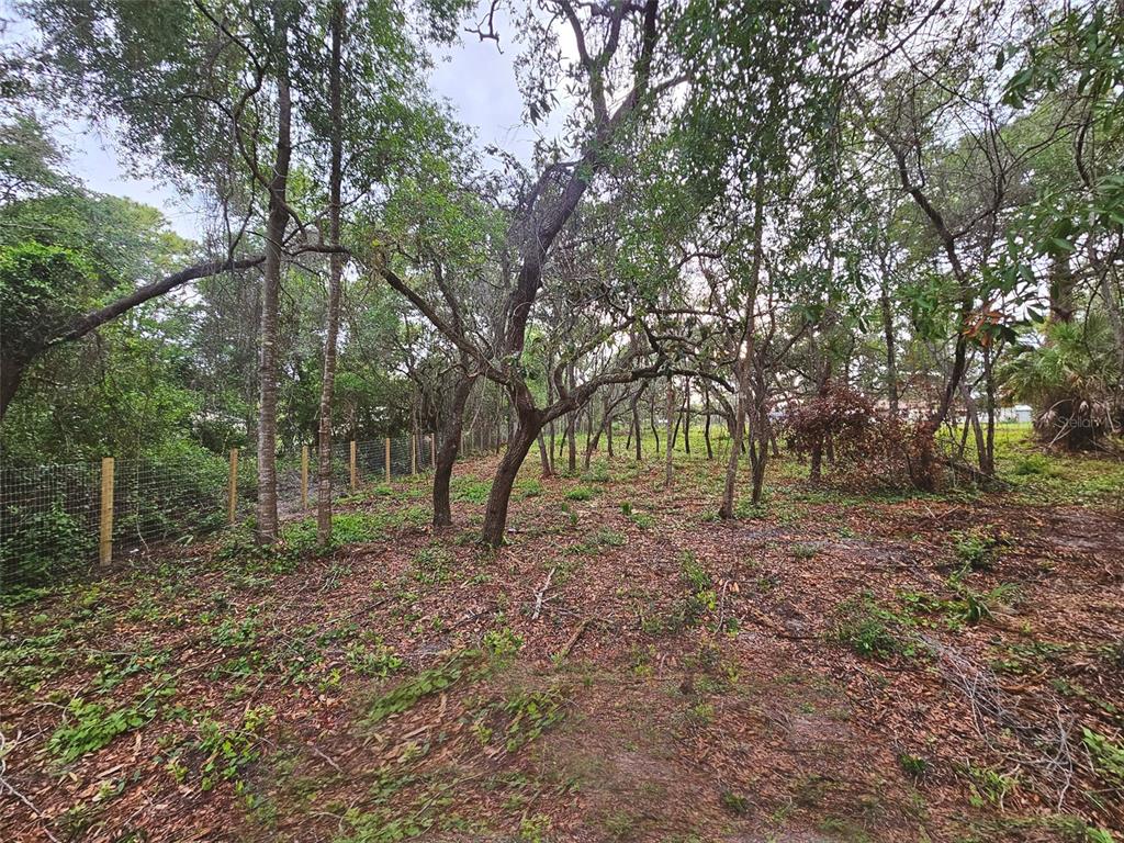 17132 Ridgeline Trail Hudson, FL 34667 - Photo 11 of 16