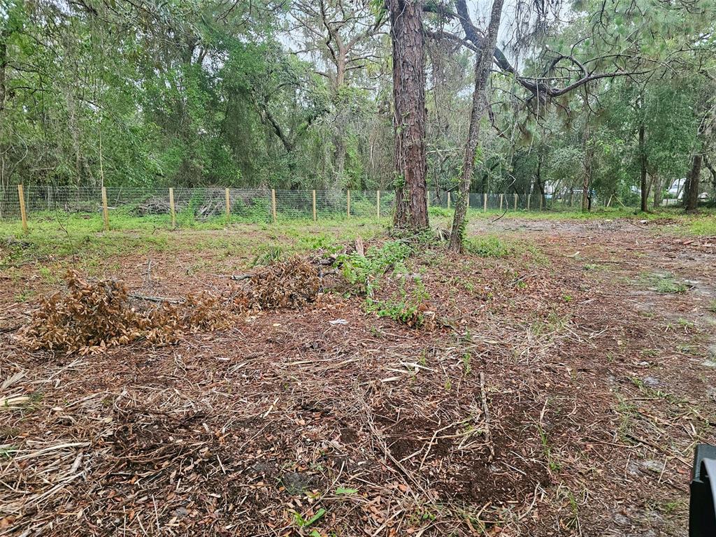 17132 Ridgeline Trail Hudson, FL 34667 - Photo 12 of 16