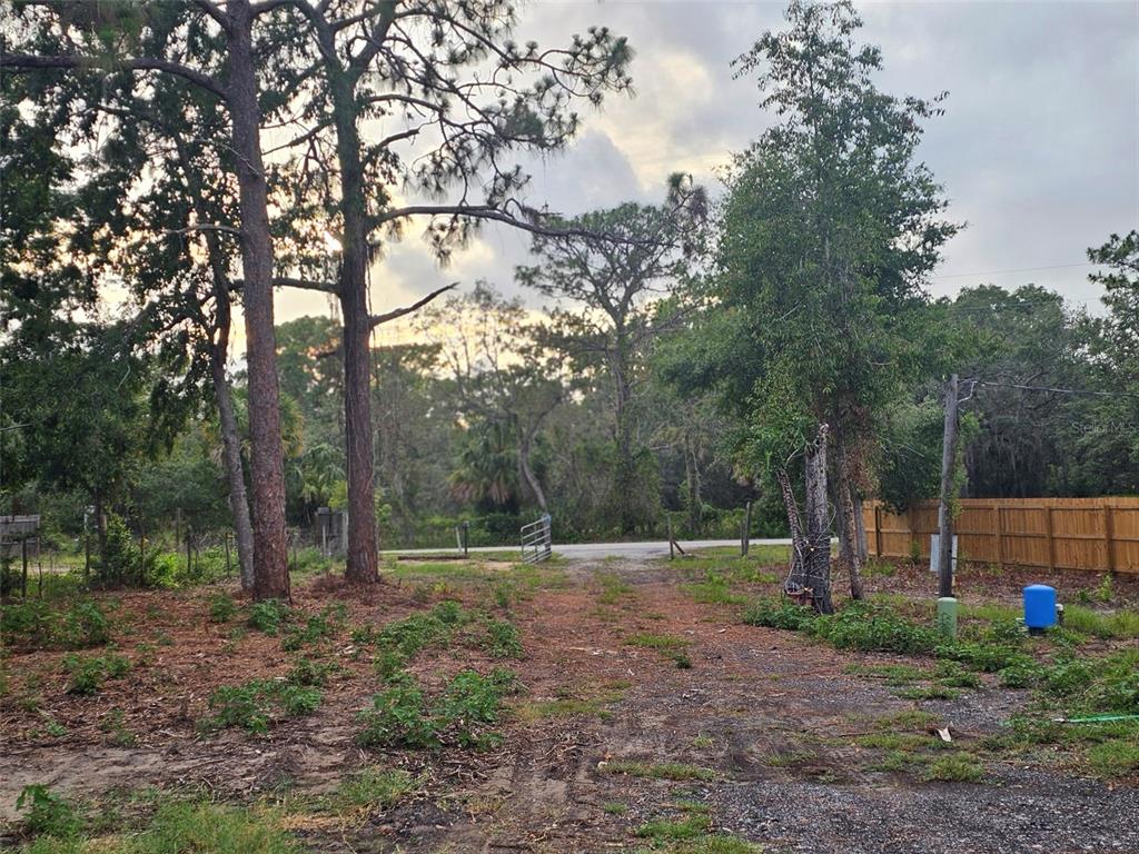 17132 Ridgeline Trail Hudson, FL 34667 - Photo 16 of 16