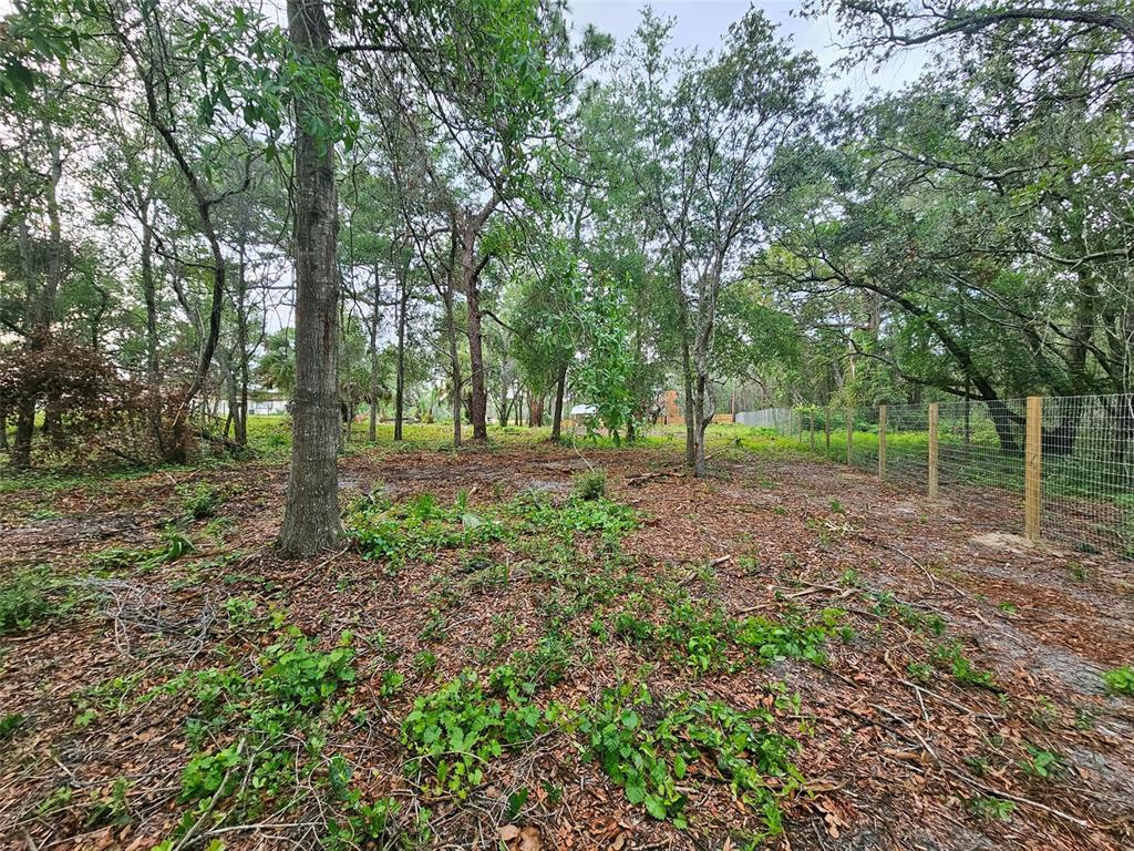 17132 Ridgeline Trail Hudson, FL 34667 - Photo 6 of 16