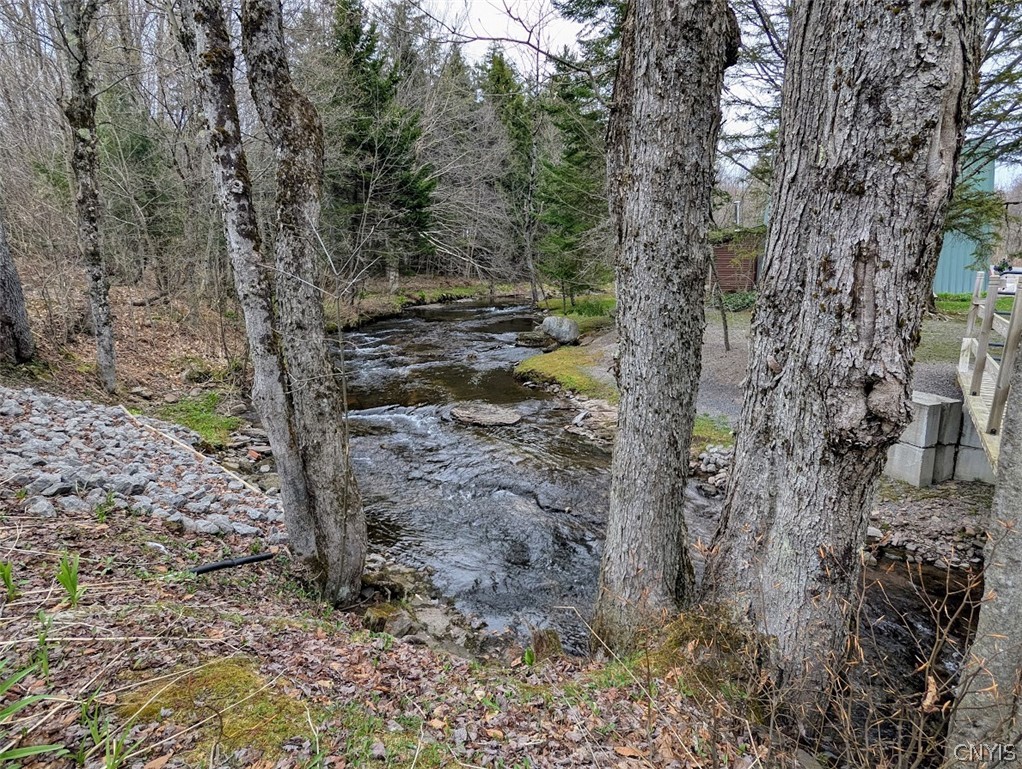 1051 North Osceola Road Osceola, NY 13437 - Photo 41 of 42