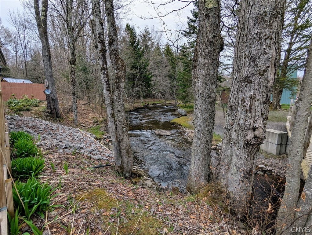 1051 North Osceola Road Osceola, NY 13437 - Photo 42 of 42