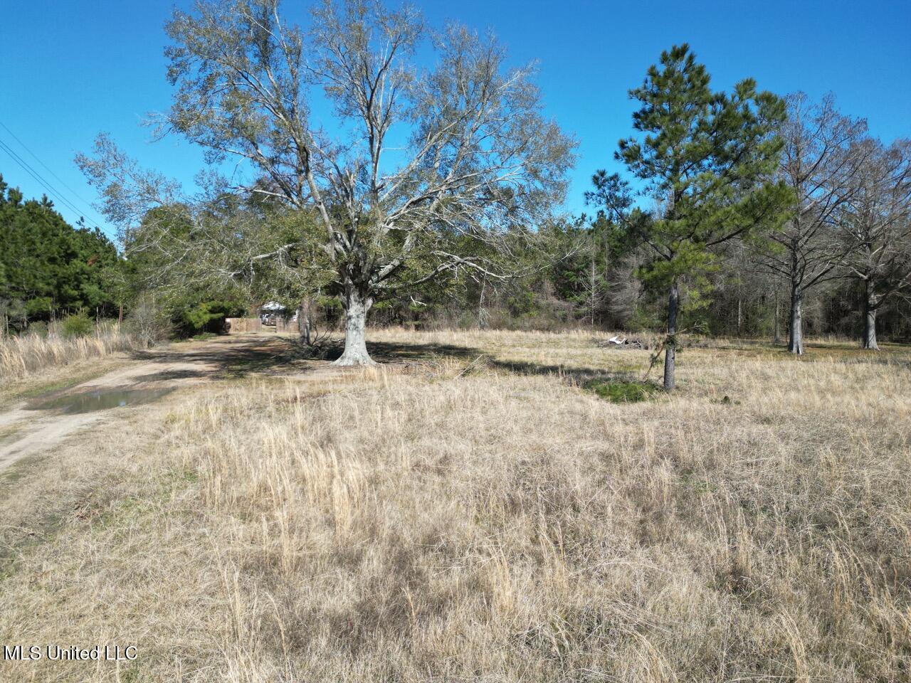 165 Mitchell Road Jonesville, LA 71343 - Photo 12 of 56 DJI_0238 Large