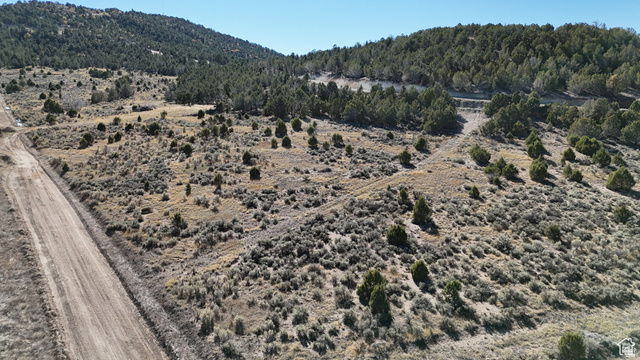 23 North Blackhawk Mount Ests Road, Unit 23 Fairview, UT 84629 - Photo 11 of 14 Mountain view featuring rural landscape and a desert landscape