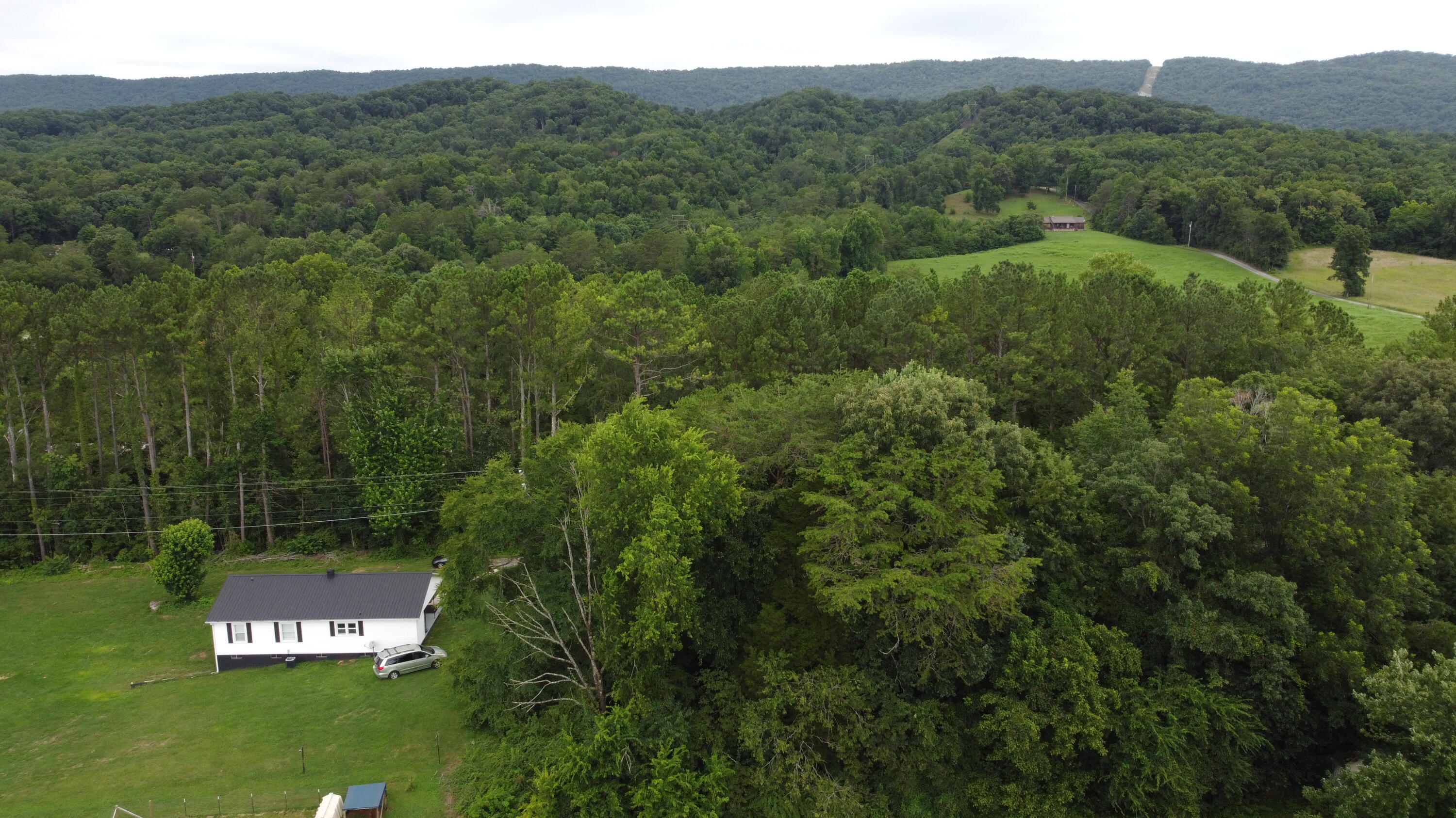 168 Hodge Road Rutledge, TN 37861 - Photo 44 of 63 DJI_0572
