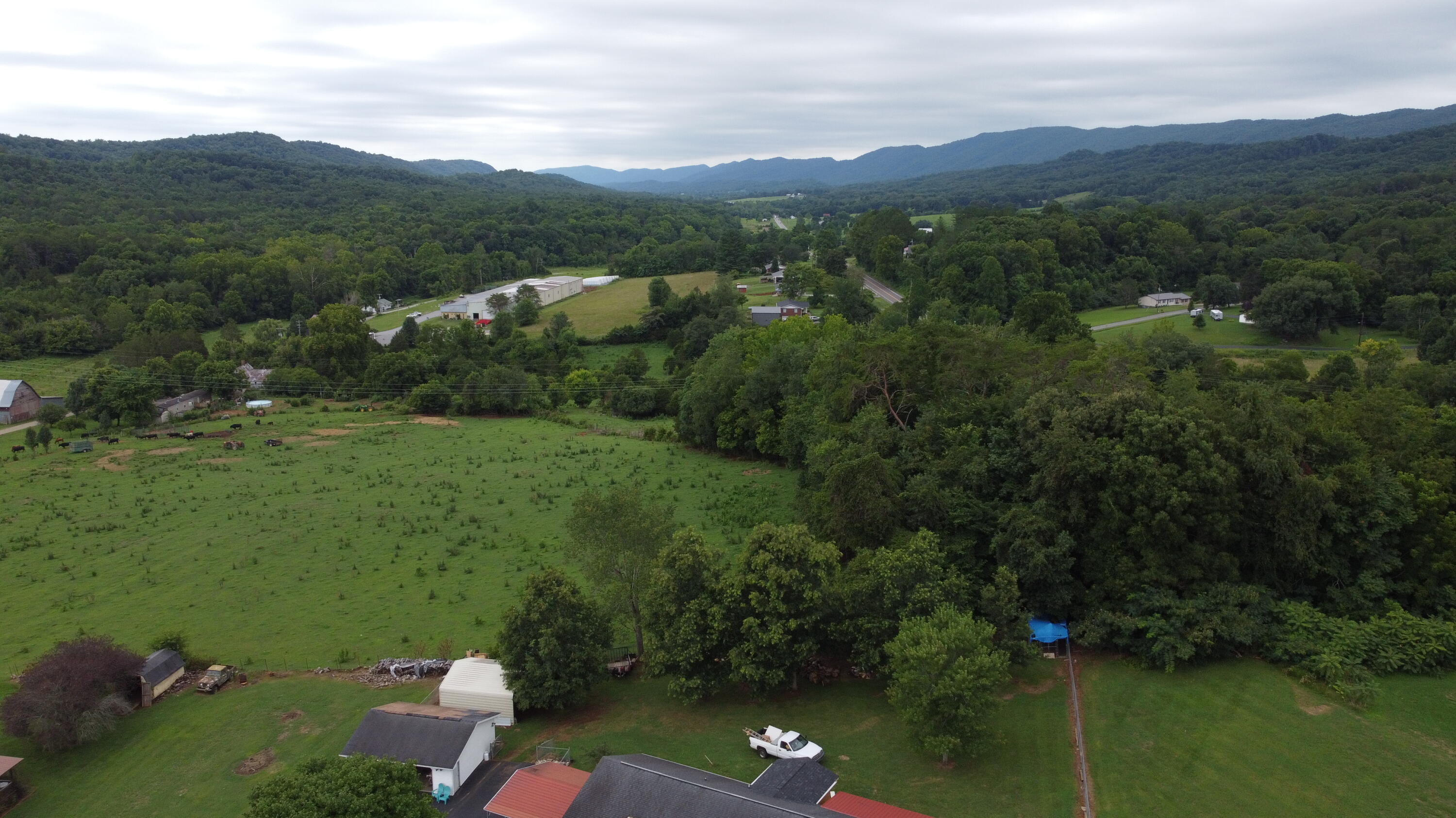 168 Hodge Road Rutledge, TN 37861 - Photo 46 of 63 DJI_0574