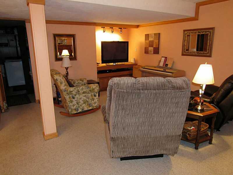 643 Deer Watch Road Bridgeville, PA 15017 - Photo 19 of 24 Basement/Game Room.