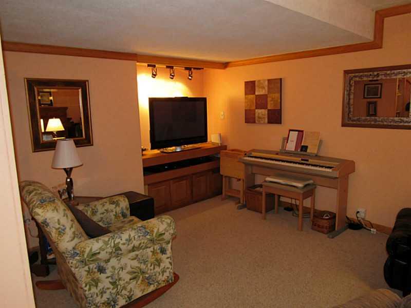 643 Deer Watch Road Bridgeville, PA 15017 - Photo 20 of 24 Basement/Game Room.