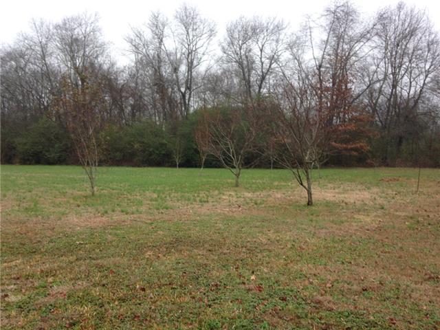 32 Morris Road Leoma, TN 38468 - Photo 7 of 16
