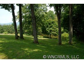 1815 Camp Branch Road Waynesville, NC 28786 - Photo 17 of 24 Gallery Image 17