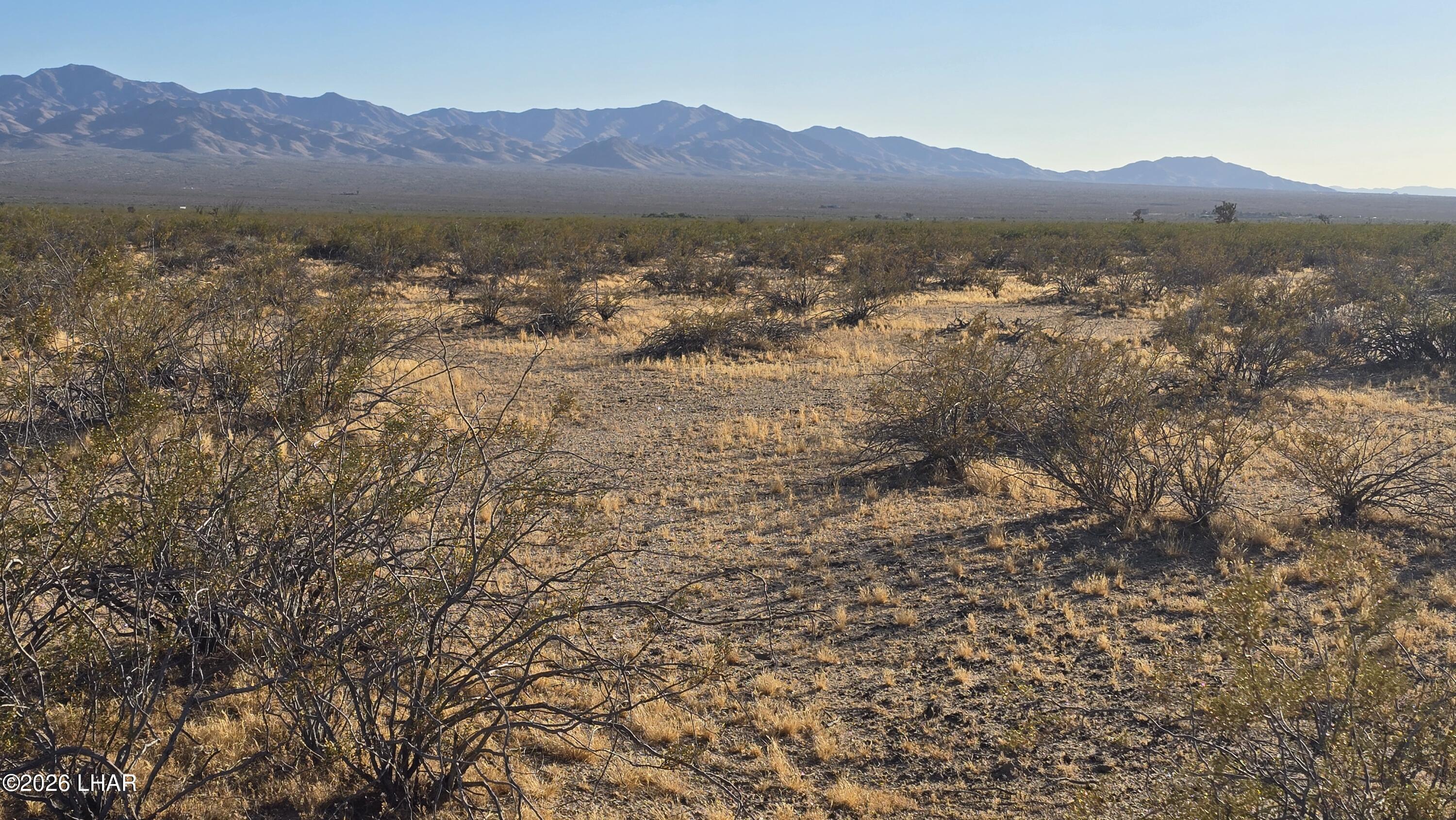 123-08-006 South Gene Autry Road Yucca, AZ 86438 - Photo 3 of 15