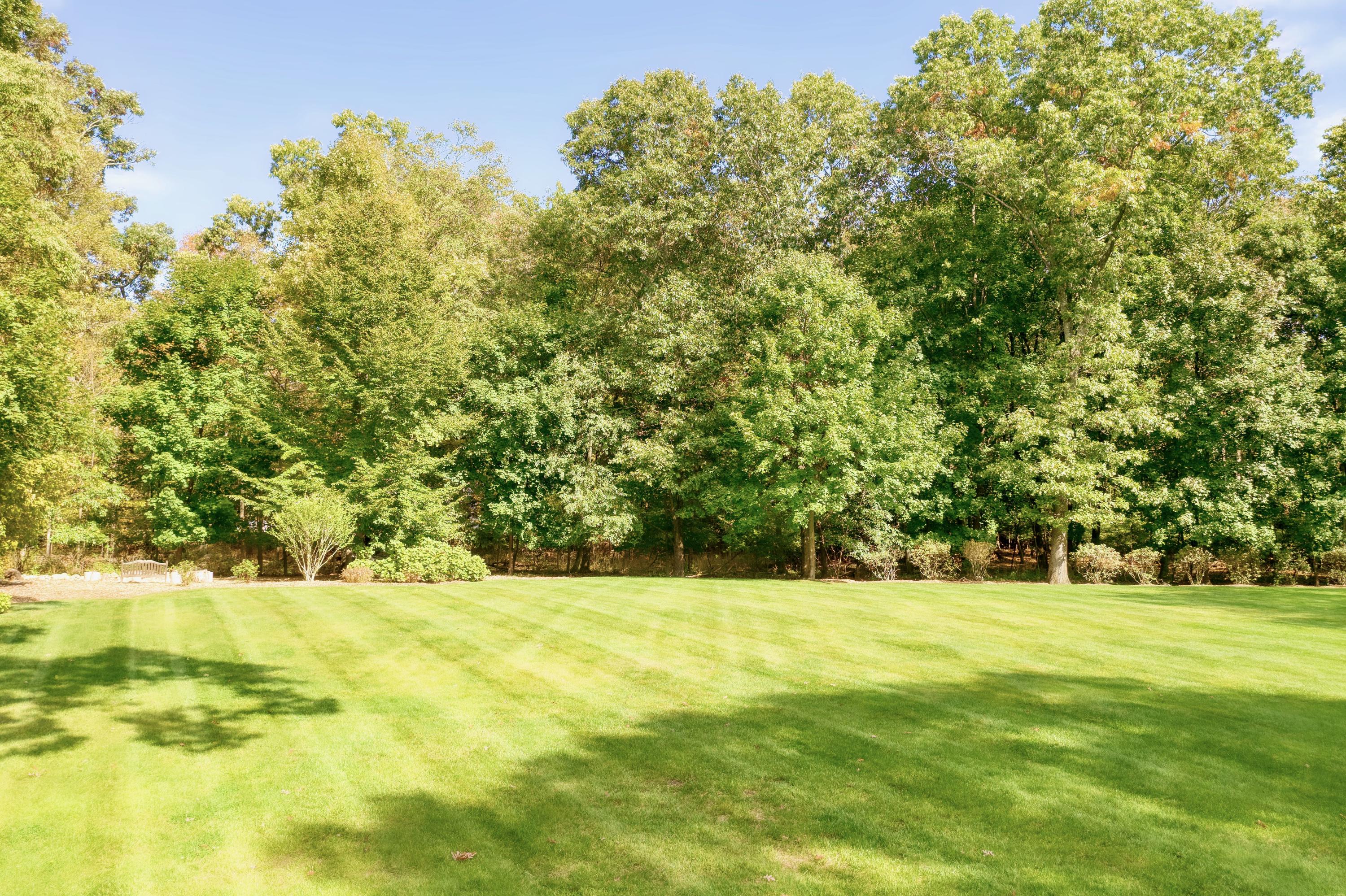 26 Beech Road New Canaan, CT 06840 - Photo 41 of 41 a view of an outdoor space and a yard