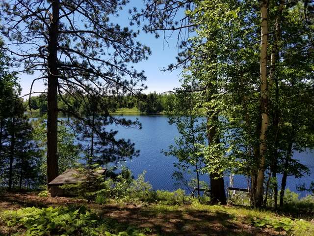 W8855 Forrester Road Tomahawk, WI 54487 - Photo 3 of 20 Gallery Image 3