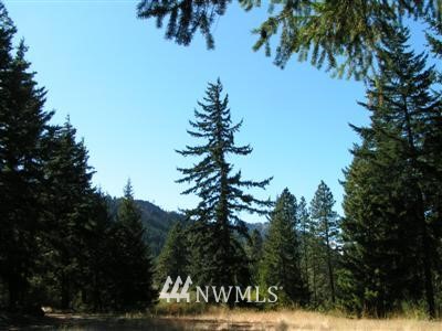 241 Bull Elk Road Cle Elum, WA 98922 - Photo 1 of 1 Gallery Image 1