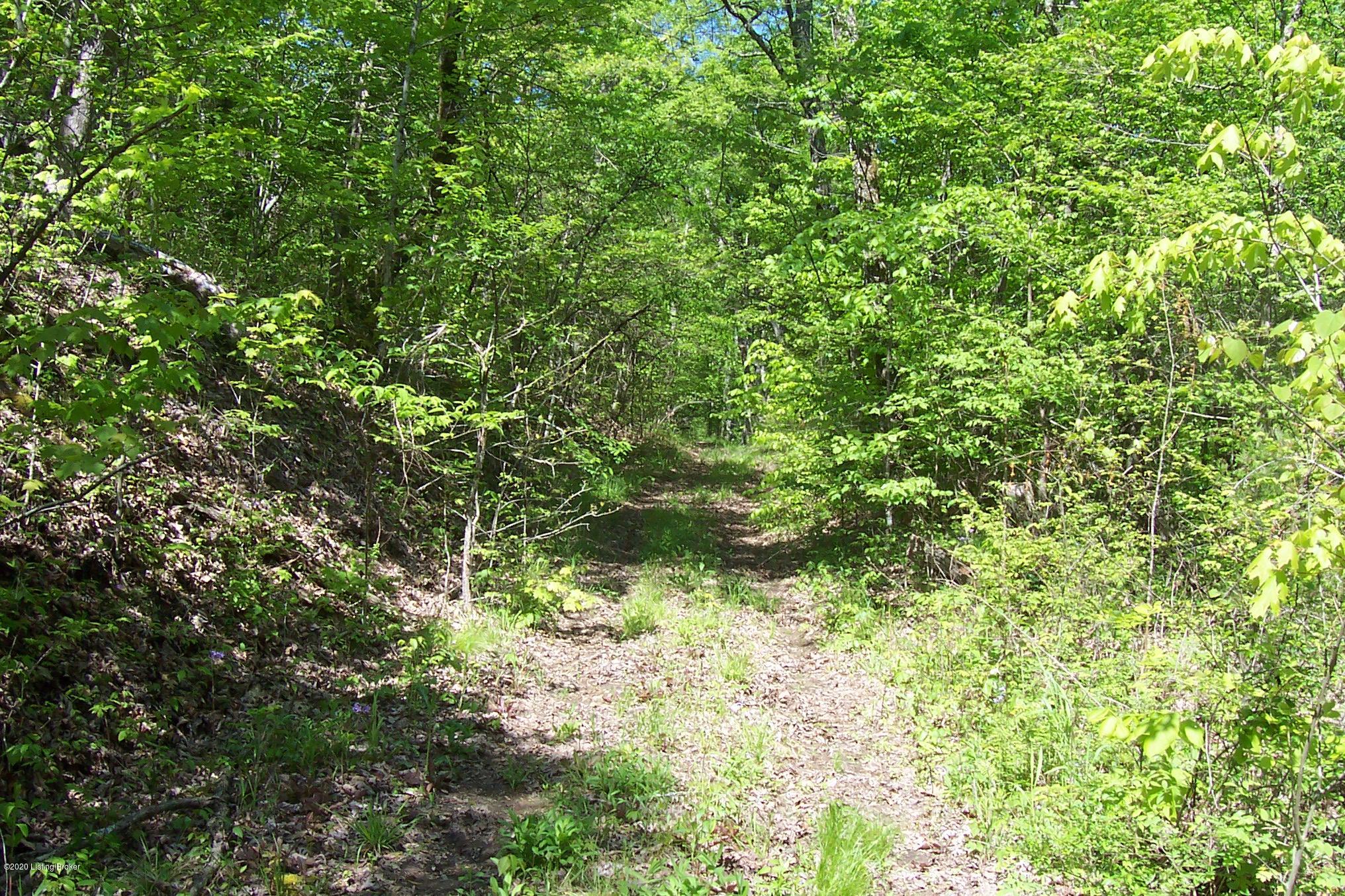 0 Skaggs Road Clarkson, KY 42726 - Photo 23 of 26 100_7329