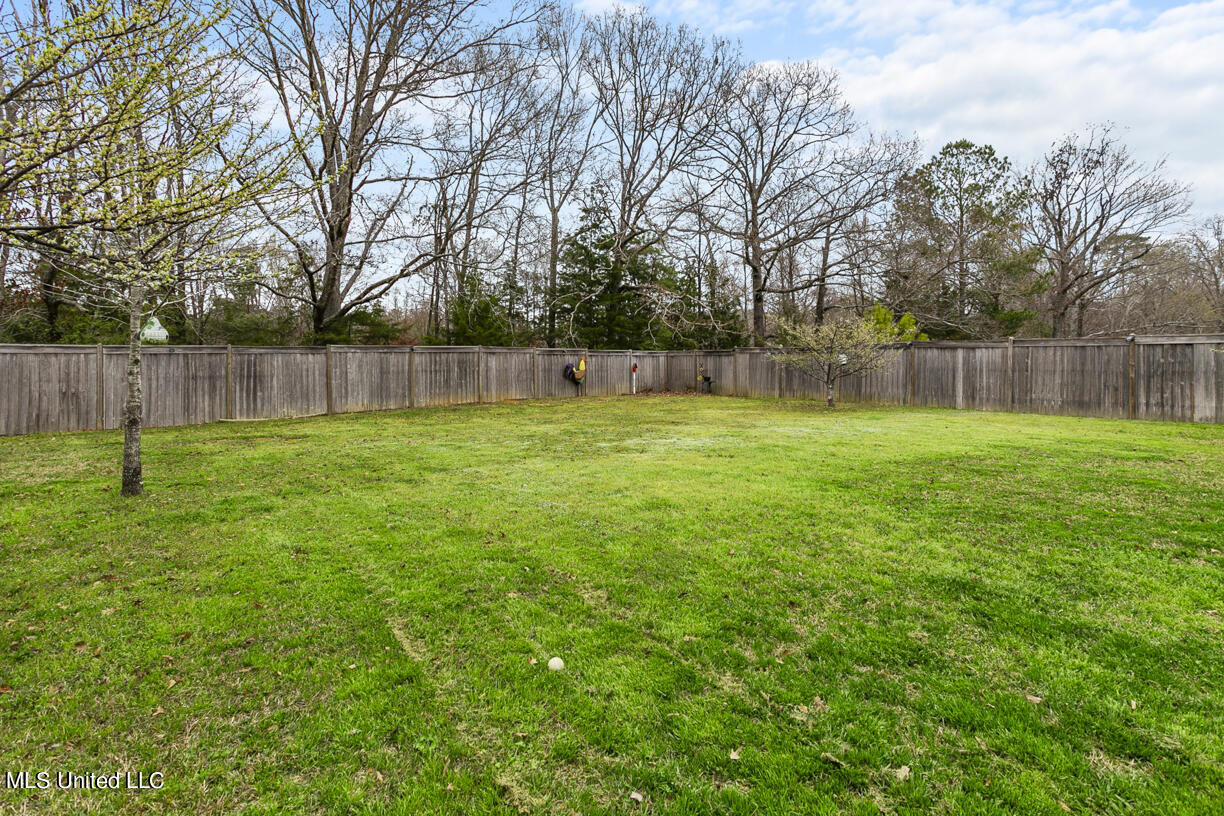 419 Julee Circle Brandon, MS 39042 - Photo 31 of 32 419 Julle Cir final-30