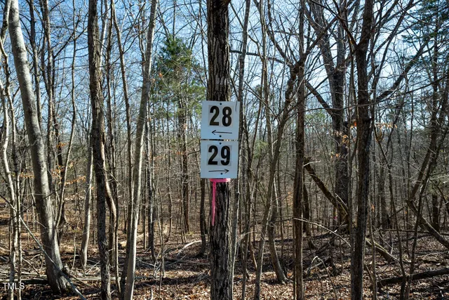 a view of swimming pool with a yard