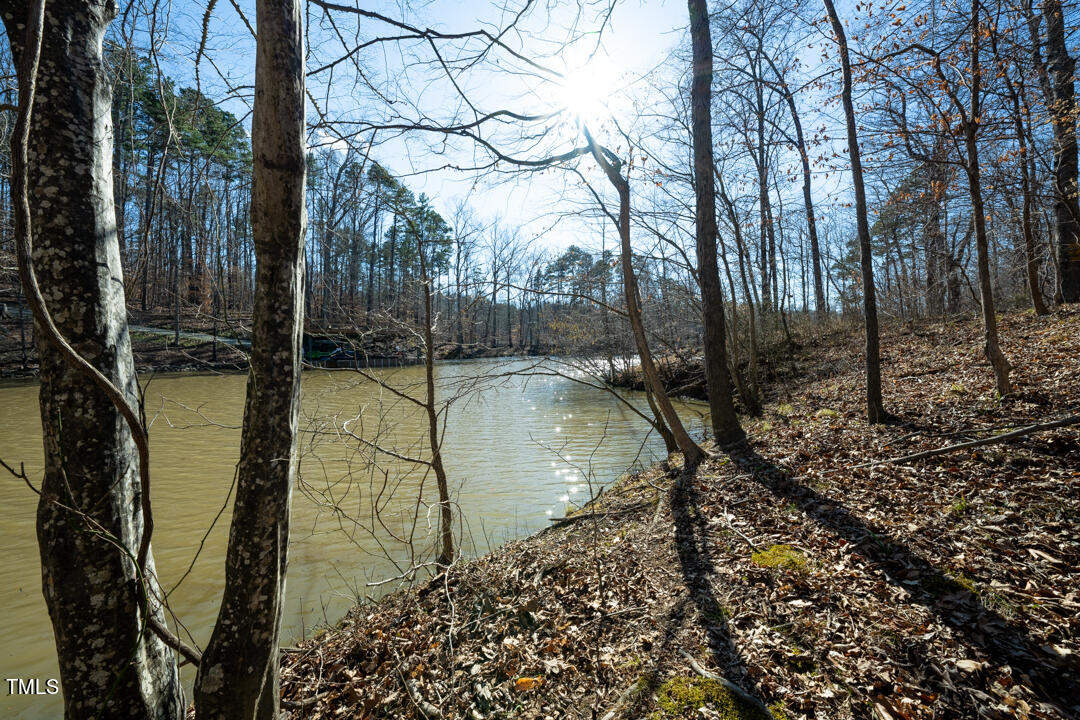 0 Summer Oak Drive Roxboro, NC 27574 - Photo 3 of 4 a view of swimming pool with a yard