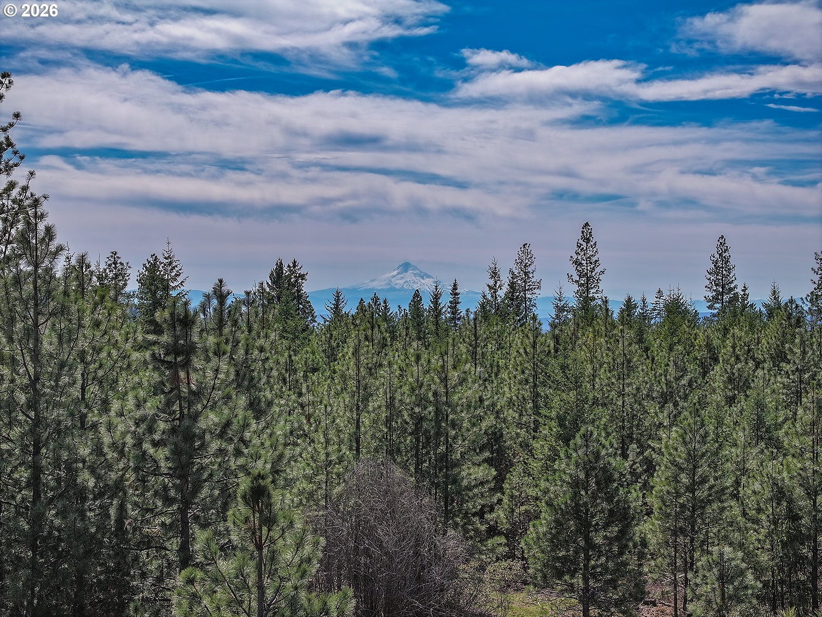 Cedar Valley Road Goldendale, WA 98620 - Photo 4 of 13 a view of a lake