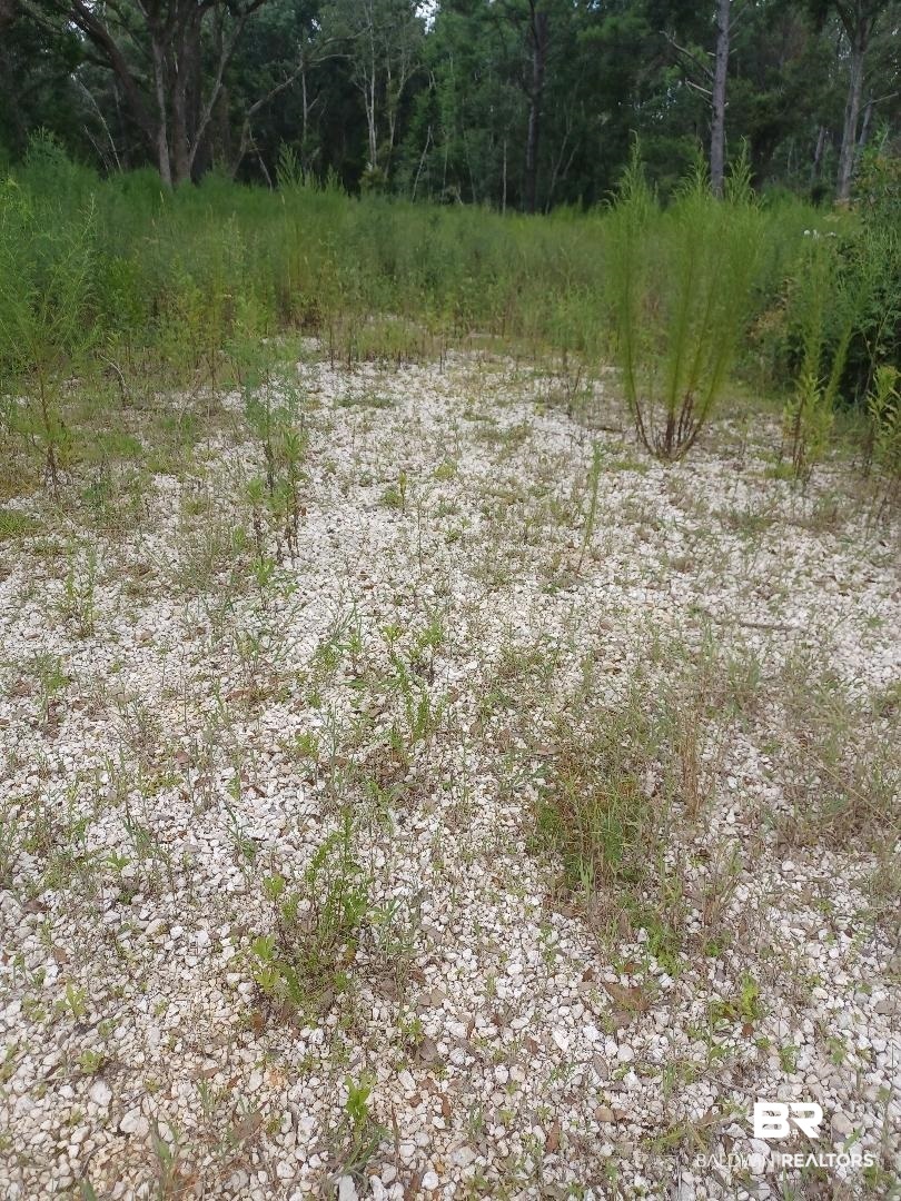 23281 Hill Road Silverhill, AL 36576 - Photo 10 of 13