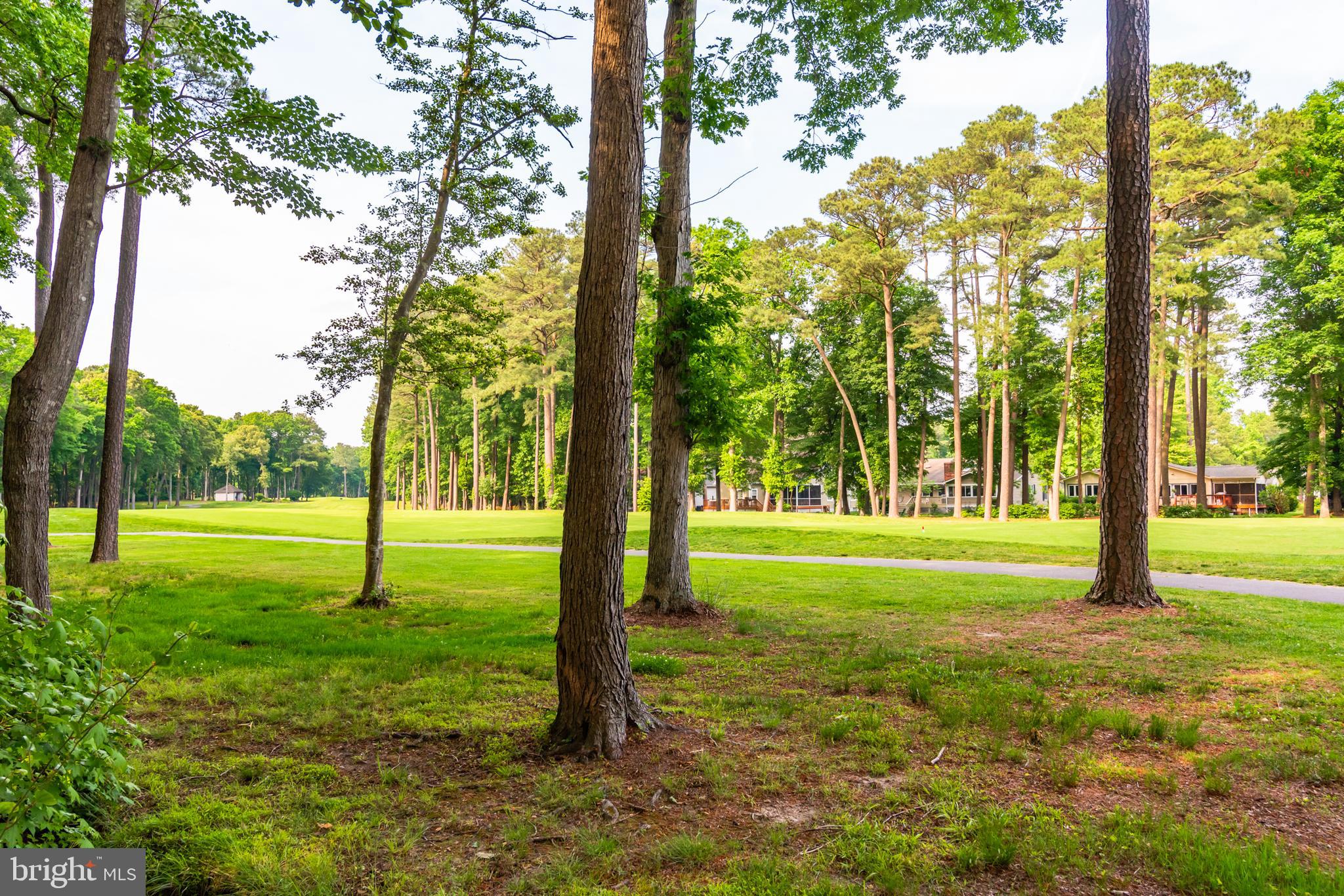 135 Windjammer Road Berlin, MD 21811 - Photo 53 of 76 a view of an trees in a park