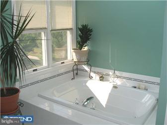 116 Matthews Farm Road Belle Mead, NJ 08502 - Photo 7 of 9 Gallery Image 7