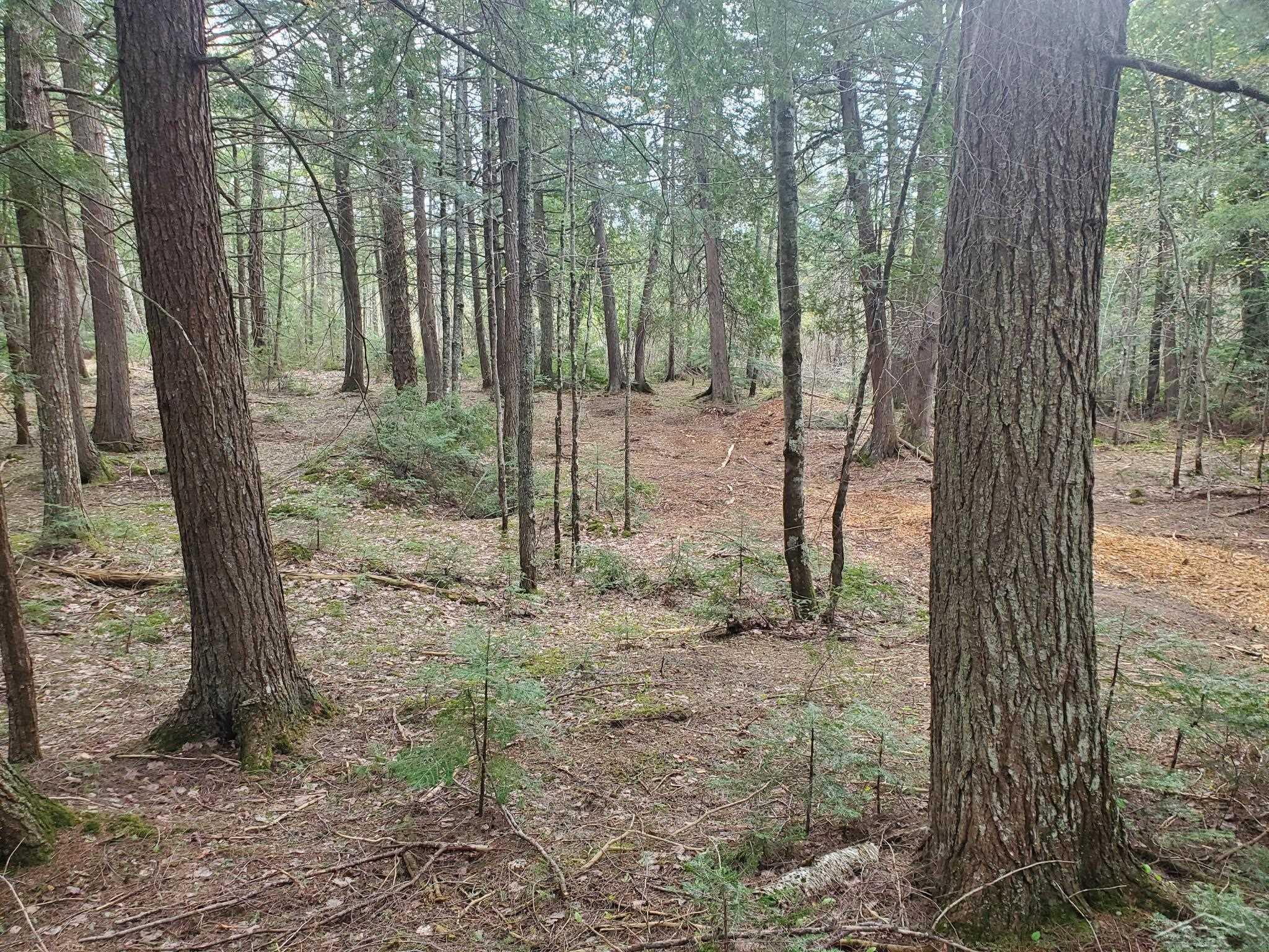 Old Plank Road Wetmore, MI 49895 - Photo 3 of 13