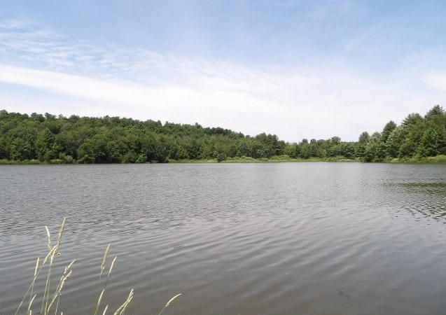 11694 State Rte 3004 Springville, PA 18844 - Photo 2 of 30