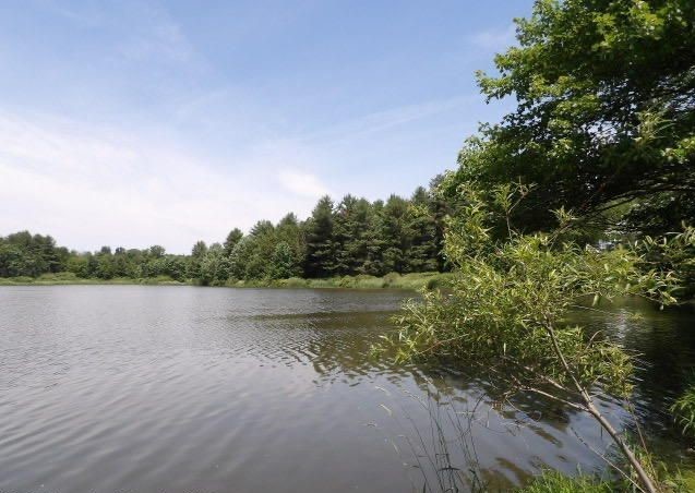 11694 State Rte 3004 Springville, PA 18844 - Photo 30 of 30