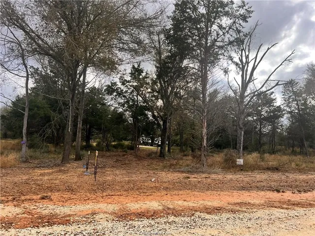 $115,000 | 6273 Private Road 3443, Marquez, TX 77865