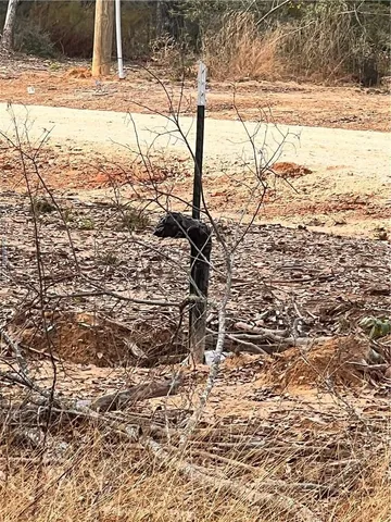 $115,000 | 6273 Private Road 3443, Marquez, TX 77865