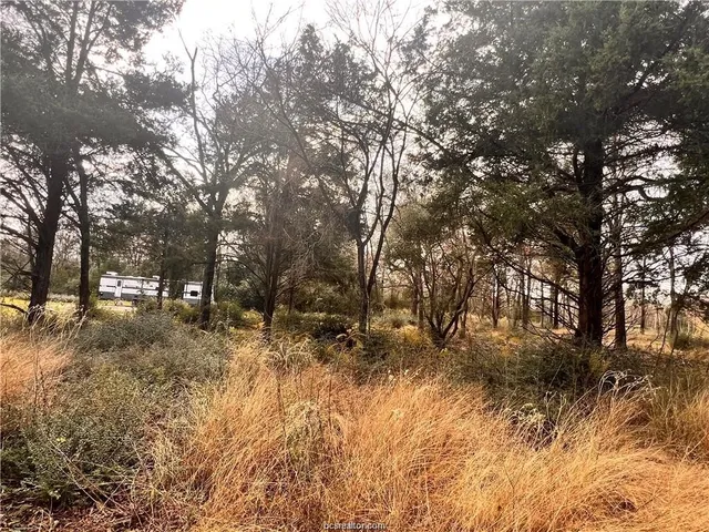 $115,000 | 6273 Private Road 3443, Marquez, TX 77865