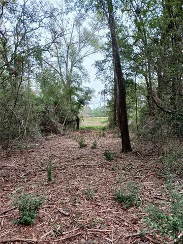 $115,000 | 6273 Private Road 3443, Marquez, TX 77865