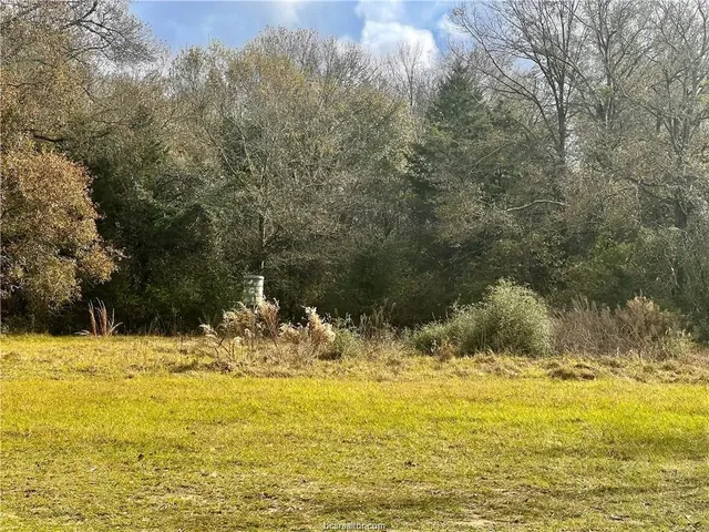 $115,000 | 6273 Private Road 3443, Marquez, TX 77865