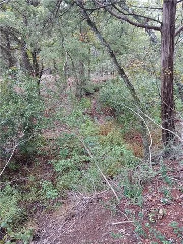 $115,000 | 6273 Private Road 3443, Marquez, TX 77865