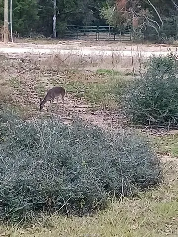 $115,000 | 6273 Private Road 3443, Marquez, TX 77865