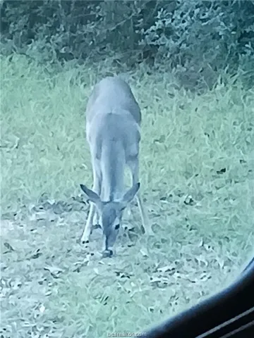 $115,000 | 6273 Private Road 3443, Marquez, TX 77865