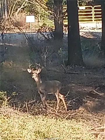 $115,000 | 6273 Private Road 3443, Marquez, TX 77865