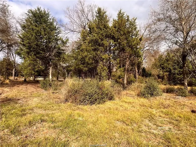 $115,000 | 6273 Private Road 3443, Marquez, TX 77865