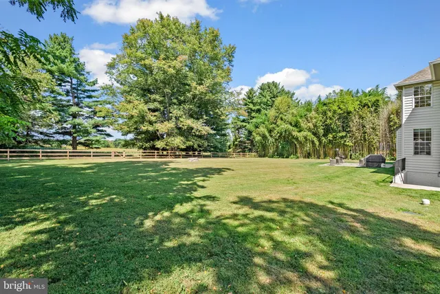 a view of yard with green space
