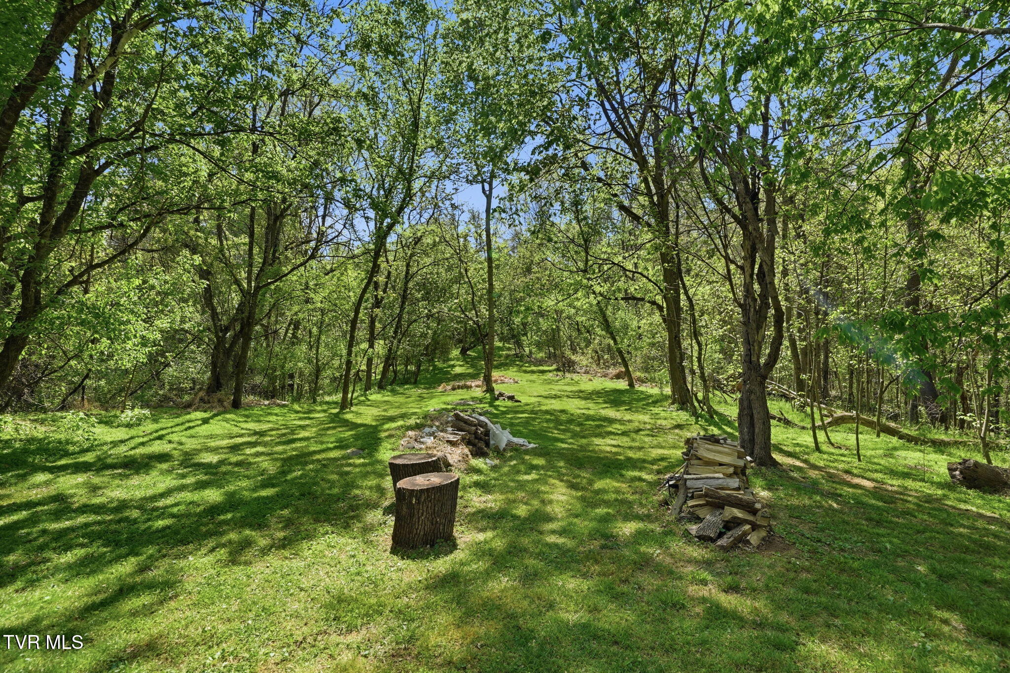 241 Summer Sound Road Piney Flats, TN 37686 - Photo 35 of 60 43-web-or-mls-241 Summer Sound Rd-48
