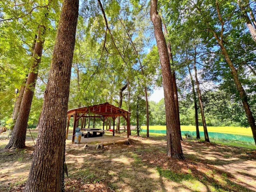 25920 Grand Pines Road Magnolia, TX 77355 - Photo 1 of 16 a view of a yard with a trees