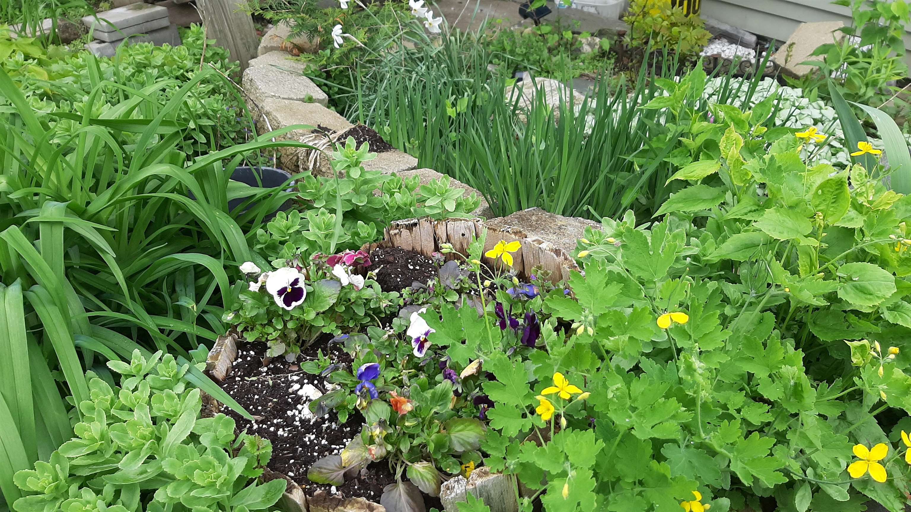 643 Main Street Cavendish, VT 05153 - Photo 45 of 52