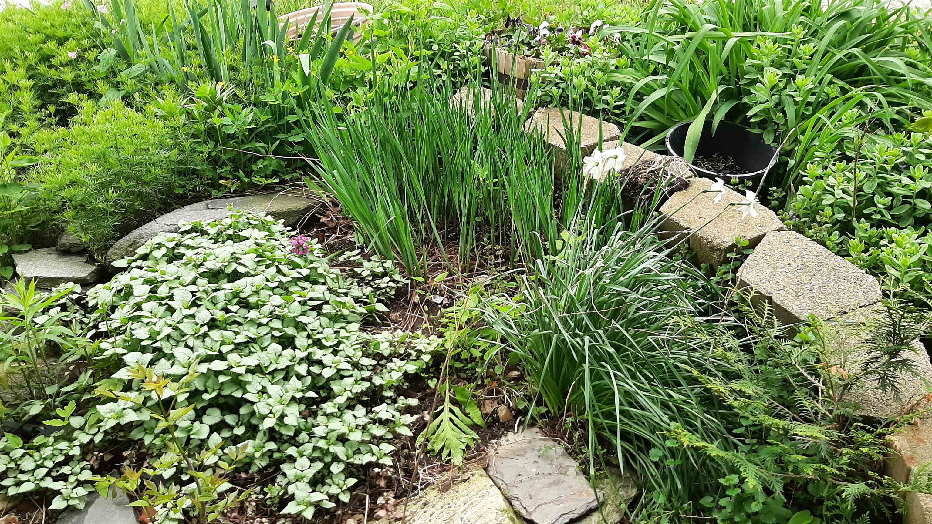 643 Main Street Cavendish, VT 05153 - Photo 46 of 52